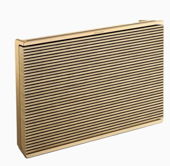BANG & OLUFSEN BEOSOUND LEVEL PORTABLE SPEAKER WIRELESS BLUETOOTH WIFI WATERPROOF